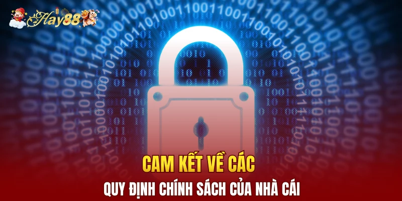 Cam kết về các quy định chính sách của nhà cái