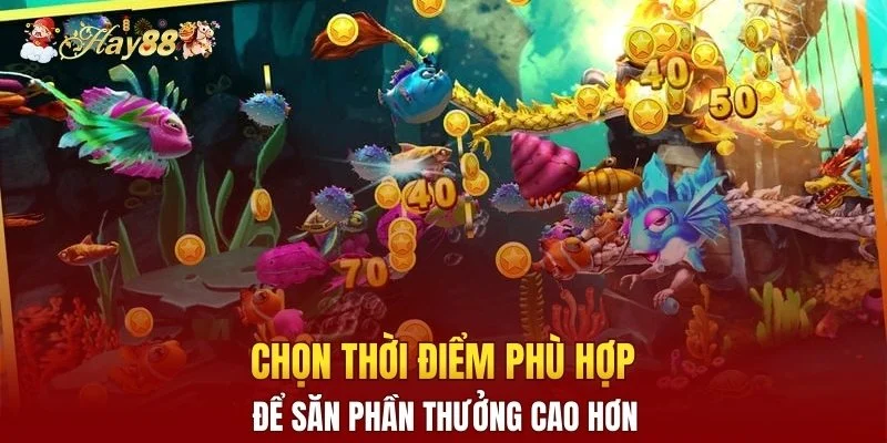 Chọn thời điểm phù hợp để săn phần thưởng cao hơn