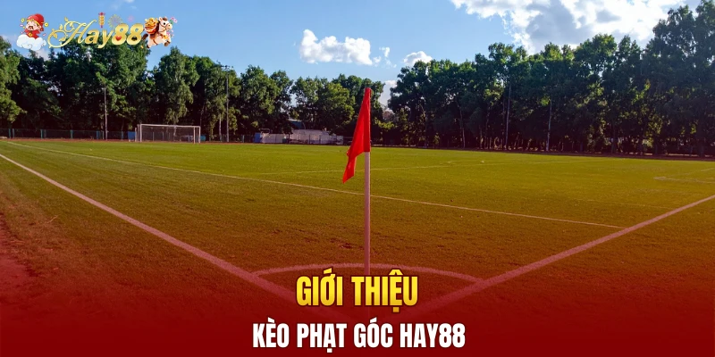Giới thiệu kèo phạt góc Hay88